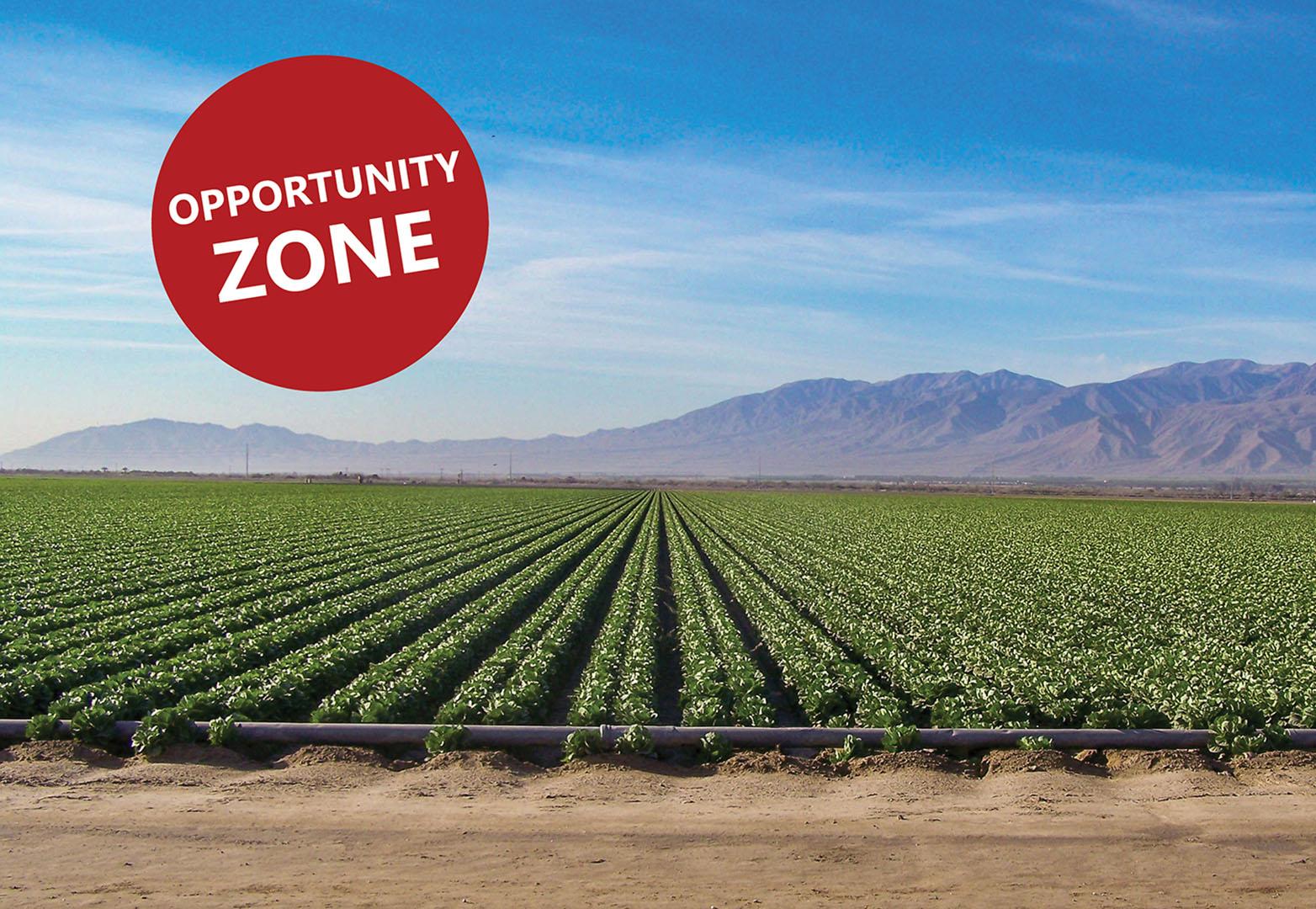 118.62 AC W Jackson St, VSR Featured Image