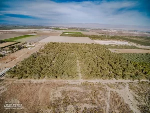 41.5 AC S Ave 61 & Harrison St, TH Drone Aerial
