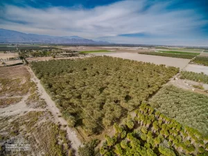 41.5 AC S Ave 61 & Harrison St, TH Drone Aerial