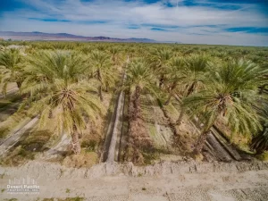 41.5 AC S Ave 61 & Harrison St, TH Drone Aerial