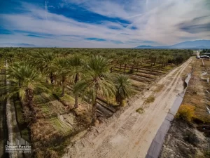 41.5 AC S Ave 61 & Harrison St, TH Drone Aerial