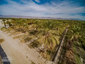 41.5 AC S Ave 61 & Harrison St, TH Drone Aerial