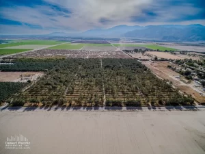 41.5 AC S Ave 61 & Harrison St, TH Drone Aerial
