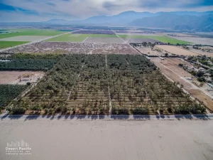 41.5 AC S Ave 61 & Harrison St, TH Drone Aerial