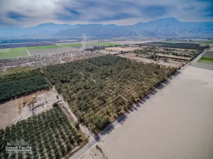 41.5 AC S Ave 61 & Harrison St, TH Drone Aerial