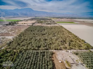 41.5 AC S Ave 61 & Harrison St, TH Drone Aerial