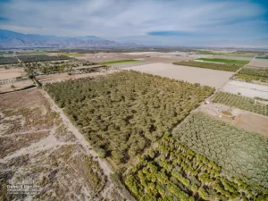 41.5 AC S Ave 61 & Harrison St, TH Drone Aerial