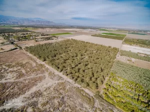 41.5 AC S Ave 61 & Harrison St, TH Drone Aerial