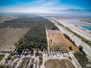 42.94 AC Ave 63 & Pierce TH Drone Aerial