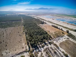 42.94 AC Ave 63 & Pierce TH Drone Aerial