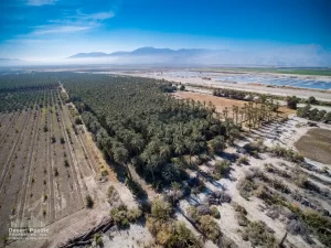 42.94 AC Ave 63 & Pierce TH Drone Aerial