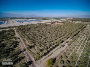 42.94 AC Ave 63 & Pierce TH Drone Aerial