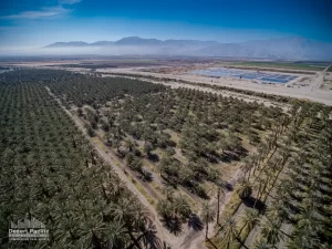 42.94 AC Ave 63 & Pierce TH Drone Aerial