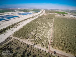 42.94 AC Ave 63 & Pierce TH Drone Aerial