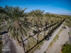 42.94 AC Ave 63 & Pierce TH Drone Aerial