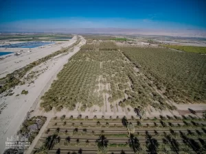 42.94 AC Ave 63 & Pierce TH Drone Aerial