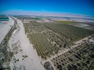 42.94 AC Ave 63 & Pierce TH Drone Aerial