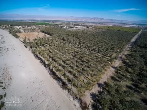42.94 AC Ave 63 & Pierce TH Drone Aerial