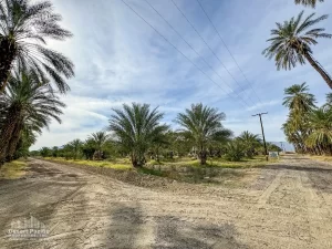 42.94 AC Ave 63 & Pierce TH Ground Photos