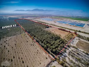 42.94 AC Ave 63 & Pierce TH Property Aerial