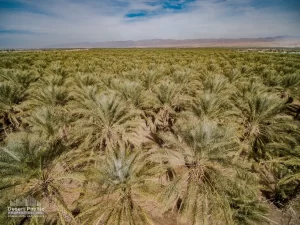 75 AC Pierce & Ave 62 TH Drone Aerial