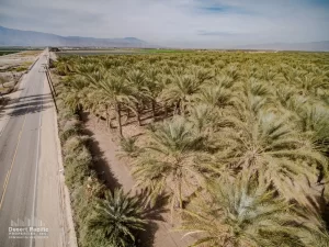 75 AC Pierce & Ave 62 TH Drone Aerial
