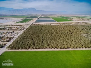 75 AC Pierce & Ave 62 TH Drone Aerial