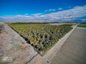 79.82 AC E Polk & Ave 58 TH Drone Aerial