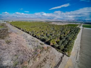 79.82 AC E Polk & Ave 58 TH Drone Aerial