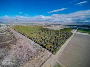 79.82 AC E Polk & Ave 58 TH Drone Aerial