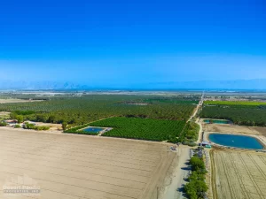 9.11 AC NWC Van Buren St & Ave 67, VSR Property Photo