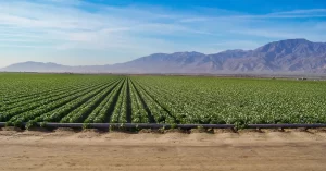Farmground For Lease Main Image