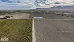 102.71 AC NWC Grant & Hammond (Hammond Ranch) Drone Aerial