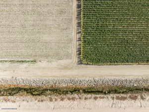 162.43 AC Hwy 111 & Cleveland (Beach Ranch) Drone Aerial