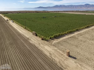 162.43 AC Hwy 111 & Cleveland (Beach Ranch) Drone Aerial