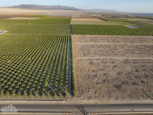 77.3 AC NEC Wheeler & Ave 70 (Ave 70 Ranch) Drone Aerial