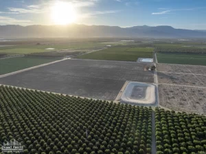77.3 AC NEC Wheeler & Ave 70 (Ave 70 Ranch) Drone Aerial