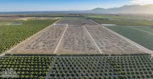 77.3 AC NEC Wheeler & Ave 70 (Ave 70 Ranch) Drone Aerial