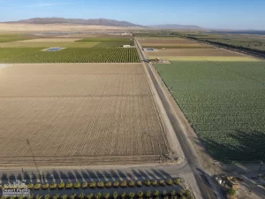 77.3 AC NEC Wheeler & Ave 70 (Ave 70 Ranch) Drone Aerial