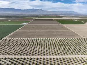 80 AC SEC Colfax & Ave 64 (Mr Grape 4 Ranch) Drone Aerial