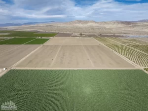 80 AC SEC Colfax & Ave 64 (Mr Grape 4 Ranch) Drone Aerial
