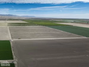80 AC SEC Colfax & Ave 64 (Mr Grape 4 Ranch) Drone Aerial