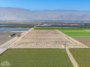 56.15 AC Ave 58 & Pierce (Buchanan Ranch)