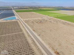 56.15 AC Ave 58 & Pierce (Buchanan Ranch)