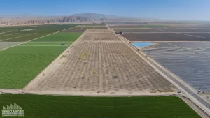 56.15 AC Ave 58 & Pierce (Buchanan Ranch)