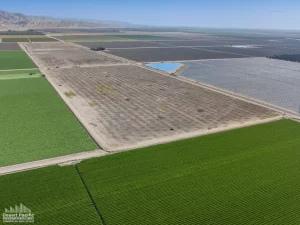 56.15 AC Ave 58 & Pierce (Buchanan Ranch)