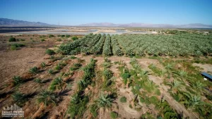 88.13 AC 24511 Rice Rd, Desert Center Drone Aerial