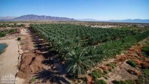 88.13 AC 24511 Rice Rd, Desert Center Drone Aerial