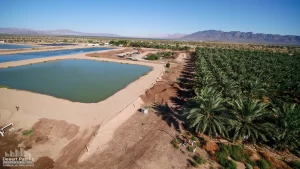 88.13 AC 24511 Rice Rd, Desert Center Drone Aerial