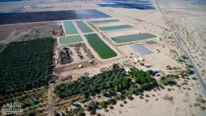 88.13 AC 24511 Rice Rd, Desert Center Drone Aerial